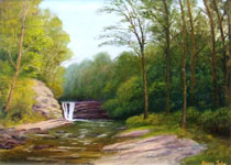 Waterfall, Clare Glens  - Kieran Tobin