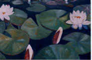 Waterlilies II - Vicki Crowley