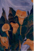 Yellow Bog Lily - Vicki Crowley