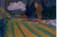 Front Lawn with Cherry Tree - Vicki Crowley