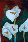 Arum Lilies II - Vicki Crowley