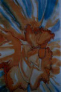 Daffodil Abstraction - Vicki Crowley