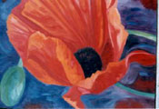 Oriental Poppy - Vicki Crowley