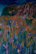 Siberian Irises in Bog Garden - Vicki Crowley