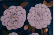 White Camellias (Brushfield's Yellow) - Vicki Crowley