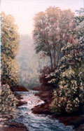 Shady Stream - Clare Glens - Kieran Tobin