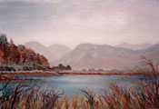 Brambles By The Shore - Roundstone - Kieran Tobin