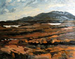 Light on the Bog Lakes, October, Roundstone Bog - Rosemary Carr