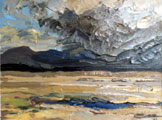 Thunderstorm, Gowla Bog, April - Rosemary Carr