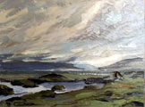 Midsummer Rain, Gowla Lough - Rosemary Carr
