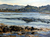 The Fast Receding Tide, Cashel Bay - Rosemary Carr