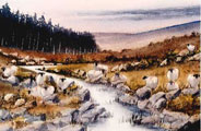 Mountain Sheep By A Stream - James Flack