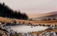 A Mountain Tarn - James Flack