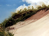 Shadowed Sandhill - Ros Harvey