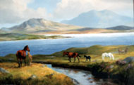 Ponies near Ballinahinch - Susan Webb