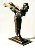 Pelvic Figure - John Coll