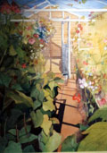 Sunlight in the Greenhouse - Clare Cryan