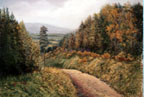 Into the Glen - Kieran Tobin