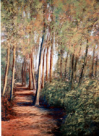 Woodland Path - Kieran Tobin