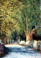 Side Gate - Kylemore - Kieran Tobin