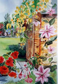 Garden Shed - Margaret Watson