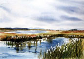 Bog Cotton in Connemara - Margaret Watson