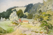 The Sunlit Valley - Joan Webb