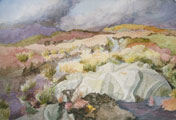 Connemara Marble - Joan Webb