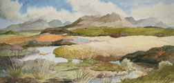 Bright Interval, The Old Bog Road - Joan Webb