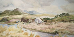 Bog Pool in Spring - Joan Webb