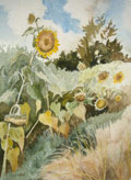 Giant Sunflowers - Joan Webb