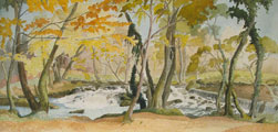 Misty Autumn by the Weir - Joan Webb