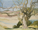The Pistachio Tree - Joan Webb