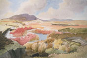 Autumn Grasses and Rushes - Joan Webb
