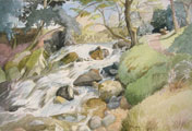 Spring Torrent - Joan Webb