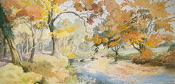 Autumn Reflections - Joan Webb