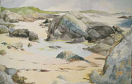 Tide Pool, The Coral Strand - Joan Webb
