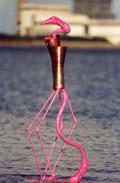 Flamingo Poise - John Coll