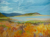 Rusheen Bay - Vicki Crowley