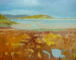 Ebb Tide at Rusheen Bay - Vicki Crowley