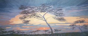 Acacia Trees at Sunset - Vicki Crowley