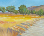 Olive Grove III - Vicki Crowley