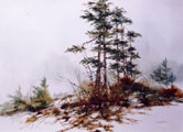 Winter Pines - Phyllis Del Vecchio
