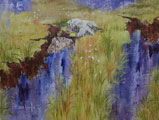Grasses In The Bog - Sara Sue McNeill