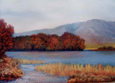 Lough Shindilla, Reeded Inlet - Kieran Tobin