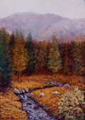 Inagh Pines - Kieran Tobin