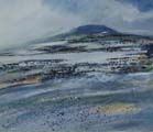 Still Turlough - Manus Walsh