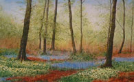 Woodland Flowers In Spring - James Flack