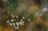 Wayside Daisies - James Flack