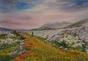 Green Road Through The Burren - James Flack